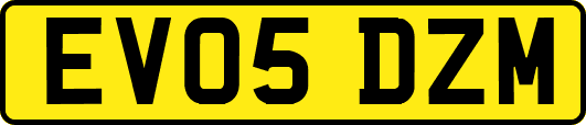 EV05DZM