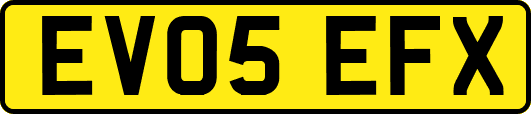 EV05EFX