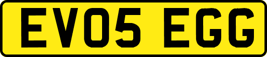 EV05EGG