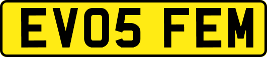 EV05FEM
