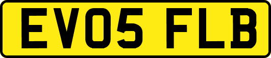 EV05FLB