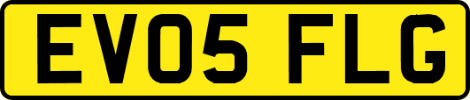 EV05FLG