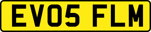 EV05FLM