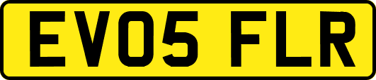 EV05FLR