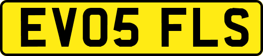 EV05FLS