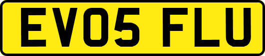 EV05FLU