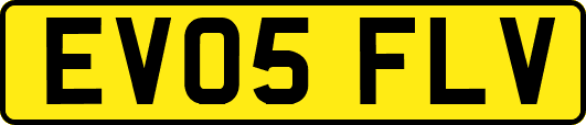 EV05FLV