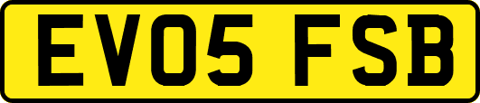 EV05FSB