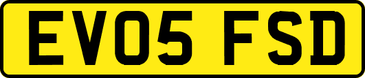 EV05FSD