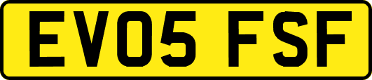 EV05FSF