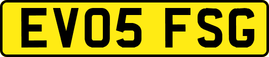 EV05FSG