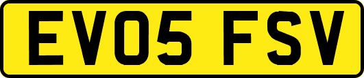 EV05FSV