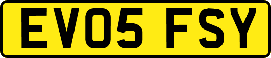 EV05FSY