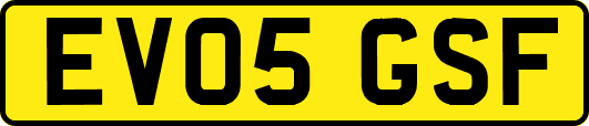 EV05GSF