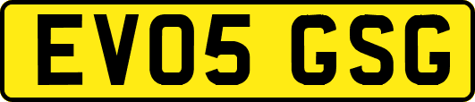 EV05GSG