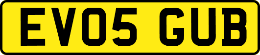 EV05GUB