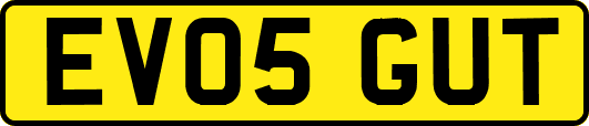 EV05GUT