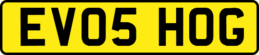 EV05HOG
