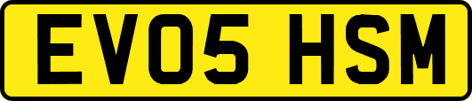 EV05HSM