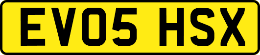 EV05HSX