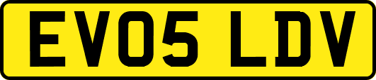 EV05LDV