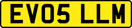 EV05LLM