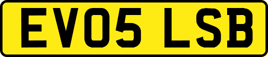 EV05LSB
