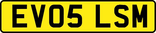 EV05LSM