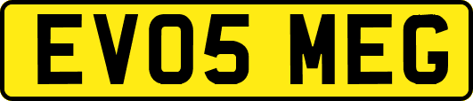 EV05MEG