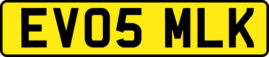 EV05MLK