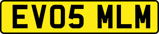 EV05MLM