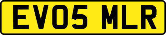 EV05MLR