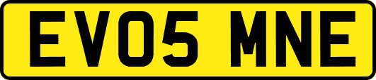 EV05MNE