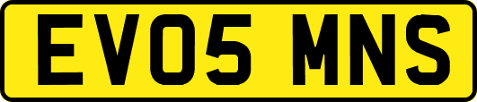 EV05MNS