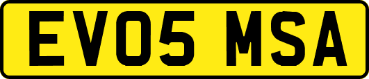 EV05MSA