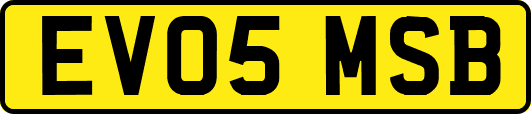 EV05MSB
