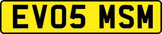 EV05MSM