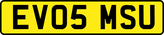 EV05MSU