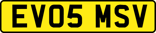 EV05MSV