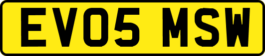 EV05MSW