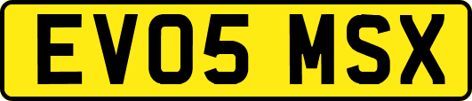 EV05MSX