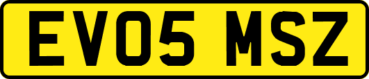 EV05MSZ