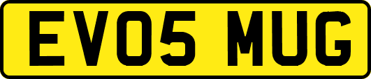 EV05MUG