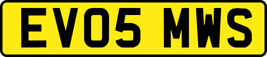 EV05MWS