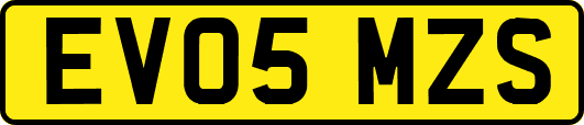 EV05MZS