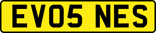 EV05NES