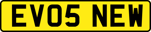 EV05NEW