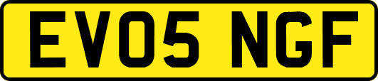 EV05NGF