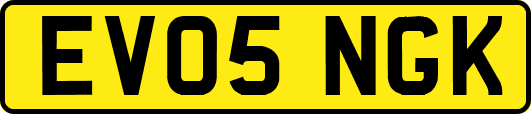 EV05NGK