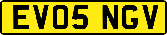 EV05NGV
